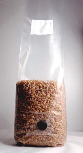 One 0.8 LB Sterilized Rye Berry Mushroom Grow Bag With Injection Port gallery