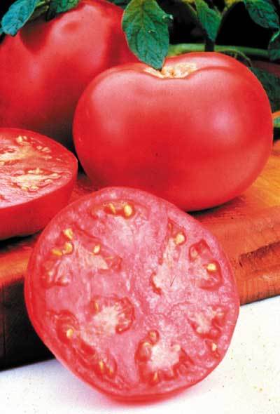 Walzer tomato seeds RARE non-gmo heirloom open pollinated gallery