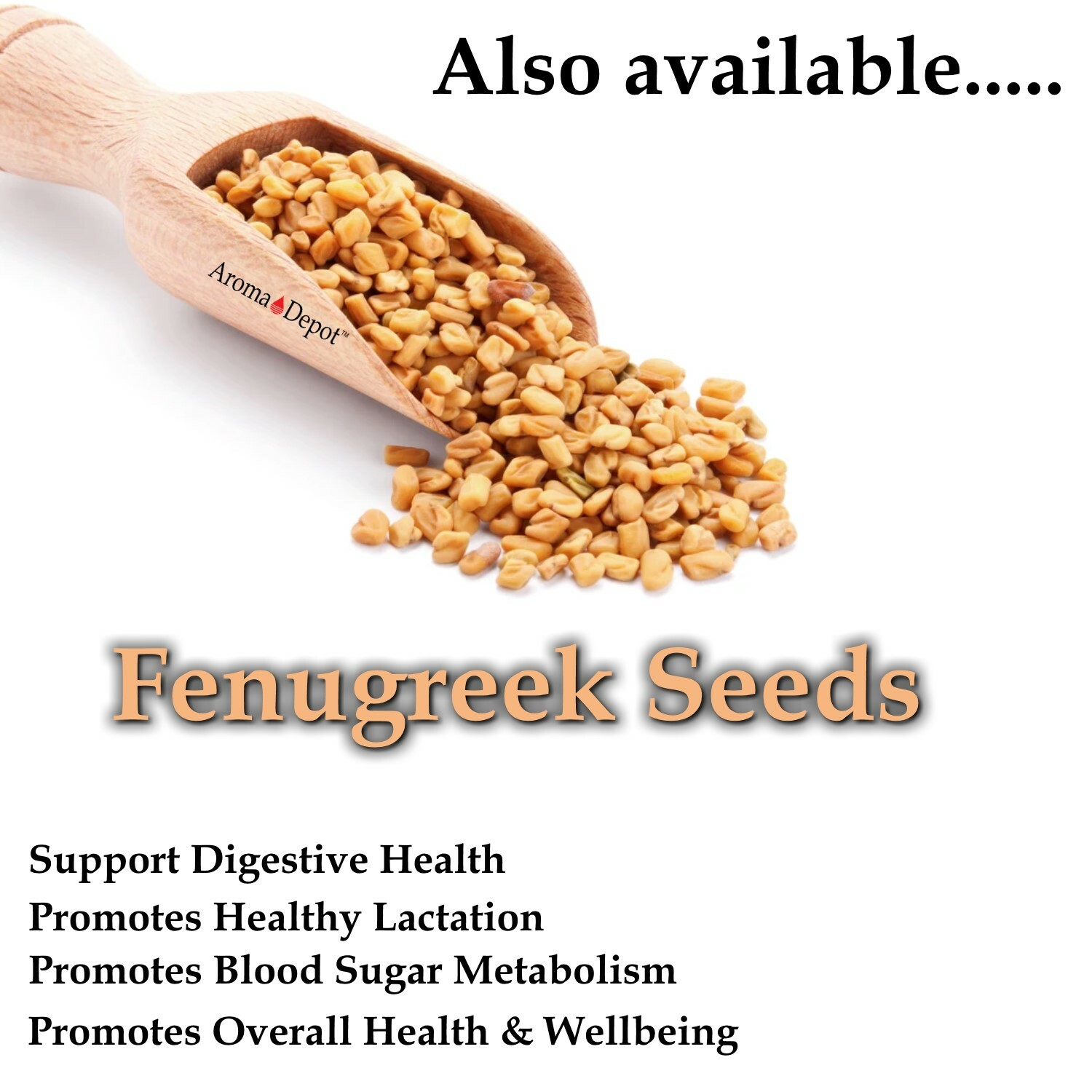 1lb. Fenugreek Seeds Trigonella foenum-graecum (Methi) Seed 100% Raw Bulk Lot gallery