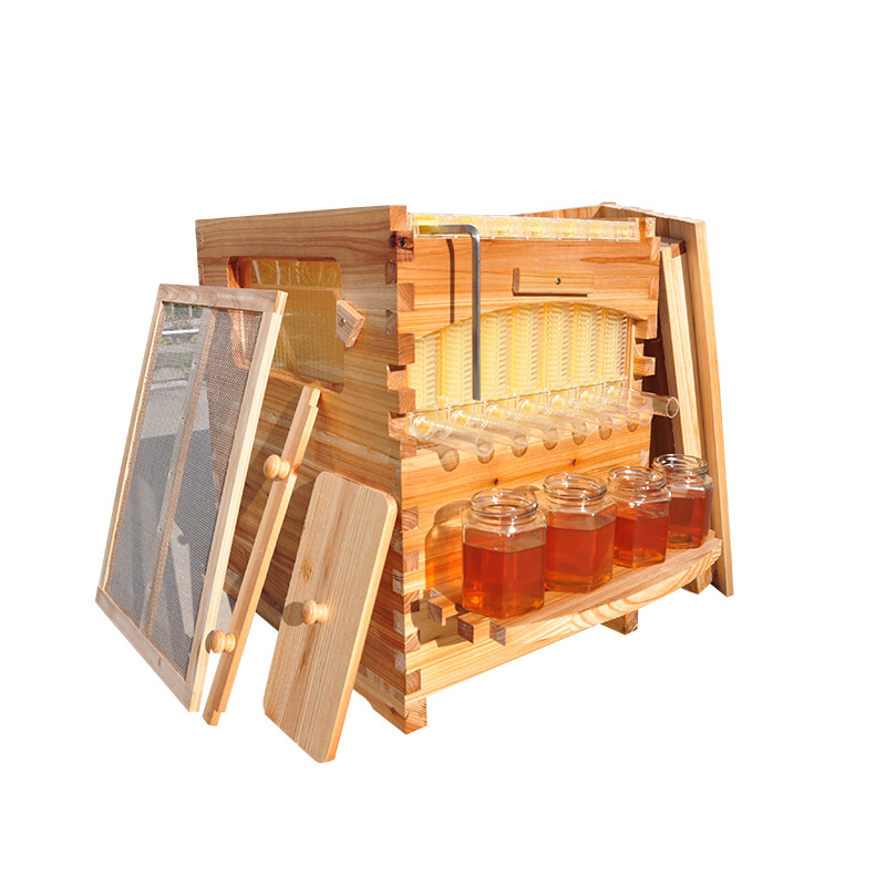 Auto Seep Bee Hives Boxes Langstroth Bee Hive HOUSE + 7x Bee Beekeeping Frames gallery