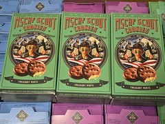 x3 Treasury Mints (Thin Mints) – MSCHF Girl Scout Cookies
