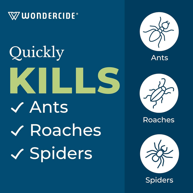 - Ant & Roach Aerosol Spray for Kitchen, Home, and Indoor Areas - Ant, Roach, Sp gallery