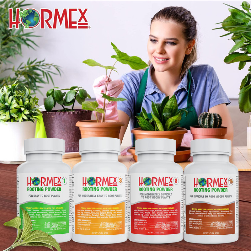 Hormex Rooting Powder #3, 8, 16 Pack - Easy to Difficult to Root Woody Plants gallery
