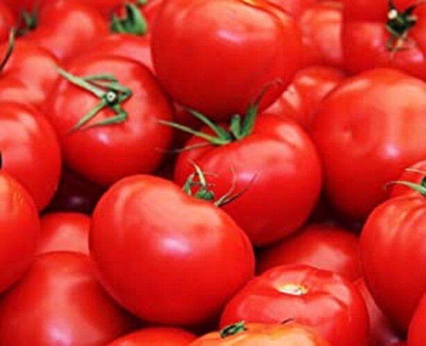 Floradade - Very Heat Tolerant! - 40 Fresh Seeds - Buy any 3 varieties, 20% off! gallery