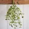 Raz Imports Replica Eucalyptus Bundle, 33" (F3802080) gallery
