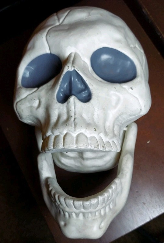 Large Skull By Hyde & Eek Boutique W/ Hinged Jaw Indoor/ Outdoor NWT - 10” Tall gallery