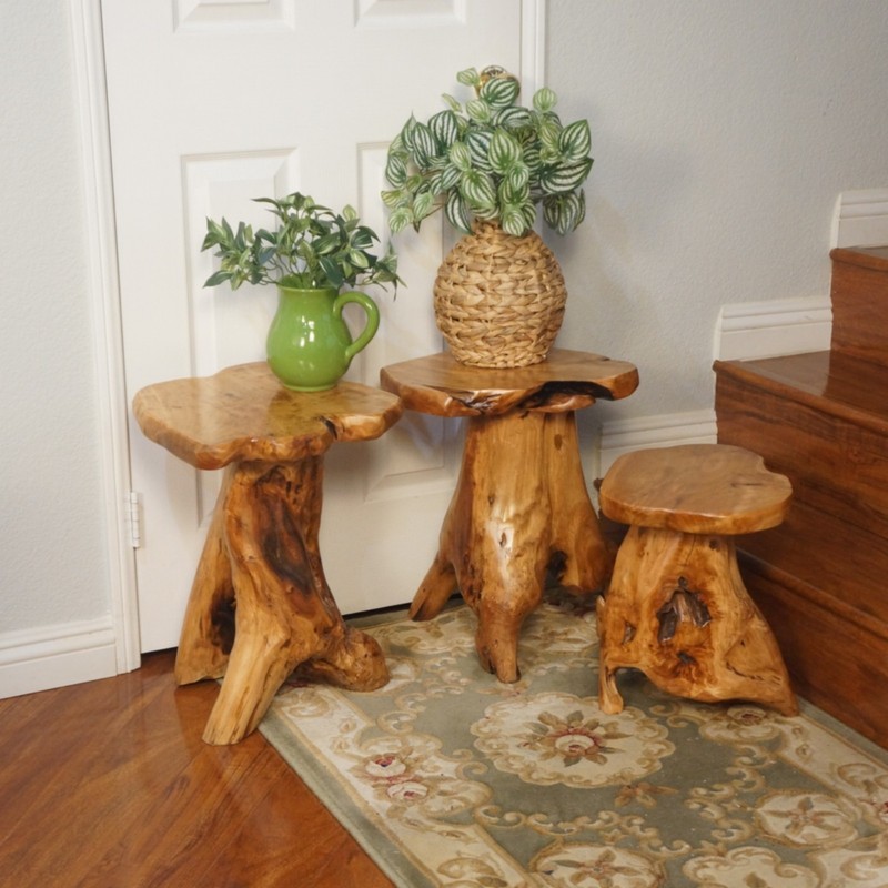 Rustic Cedar Roots Flower Stand Stool, Tree Stump Stool Side Table 19.5" H gallery
