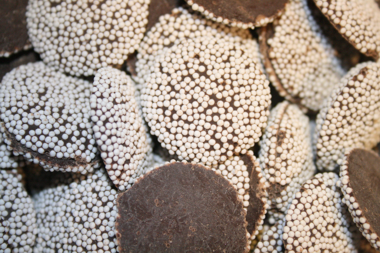 DARK CHOCOLATE NONPAREILS, 5LBS gallery
