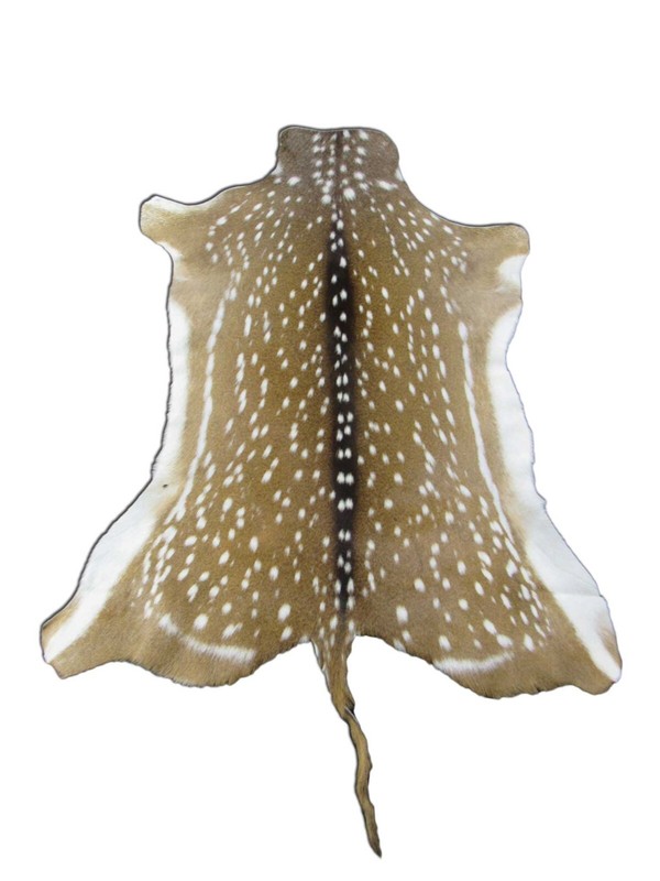 Axis Deer Skin Hide Average Size: 37" X 30" Top Grade Axis Deer Hide Top Grade gallery
