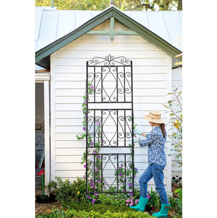 2Pcs Classic Black Metal High Panels Garden Trellis for Climbing Plants Outdoor gallery