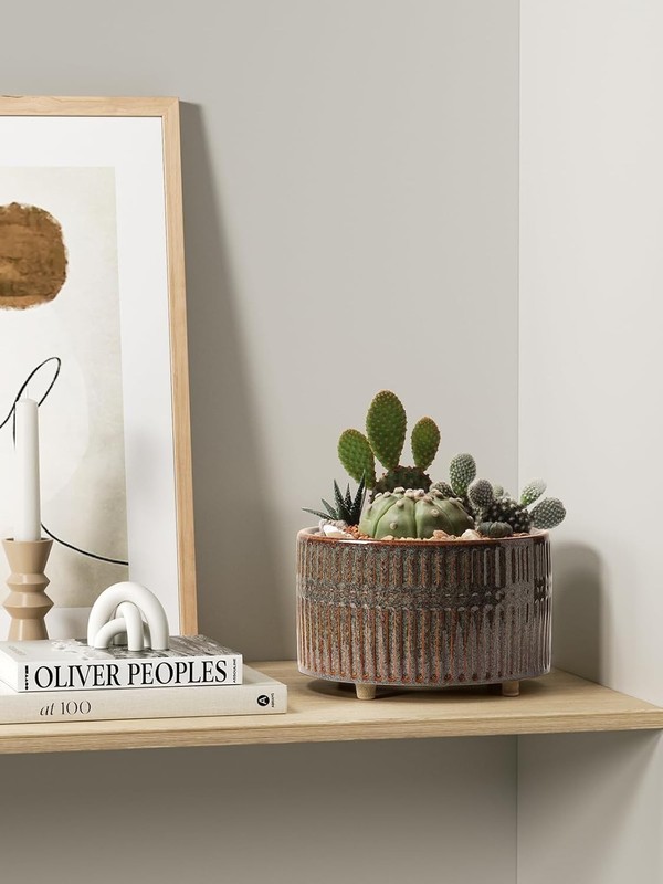 Modern Round Succulent Planters with Drainage Hole, Set of 2, 6.5 & 8 Inch gallery