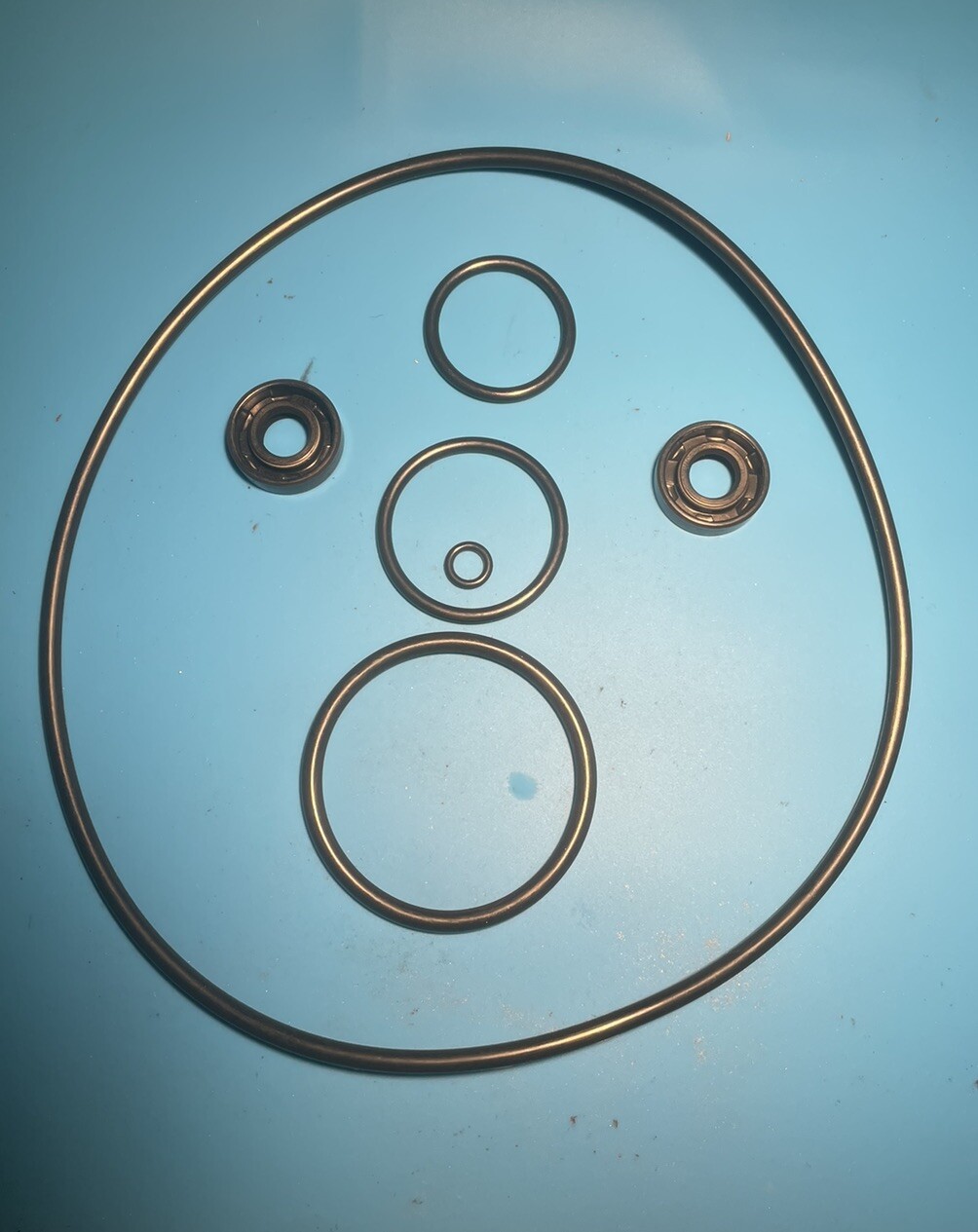 O-RING SEAL KIT Dolphin Robotic Pool Cleaner Motor 99953 88-EX 87-EX 95EX 96EX gallery
