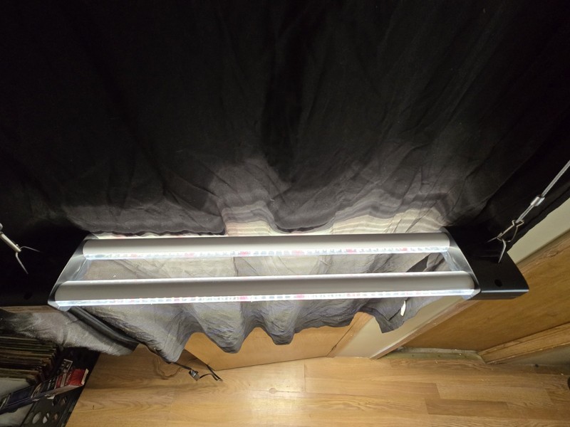 DYMOND BoostGro LED Grow Light Full Spectrum Linkable 5000K Daylight + 660nm 2’ gallery