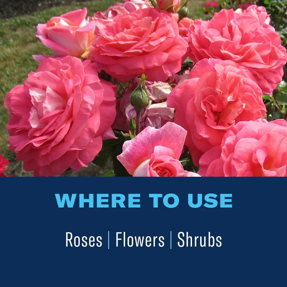 BioAdvanced 2-In-1 Systemic Rose and Flower Care, Granules For Insects,5lb-2Pack gallery