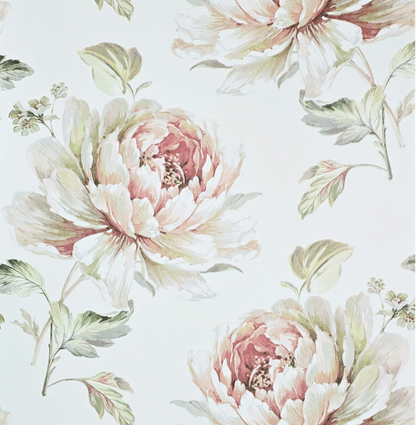 Ivory off white pink floral large peony blossom flowers Biedermeier wallpaper 3D gallery