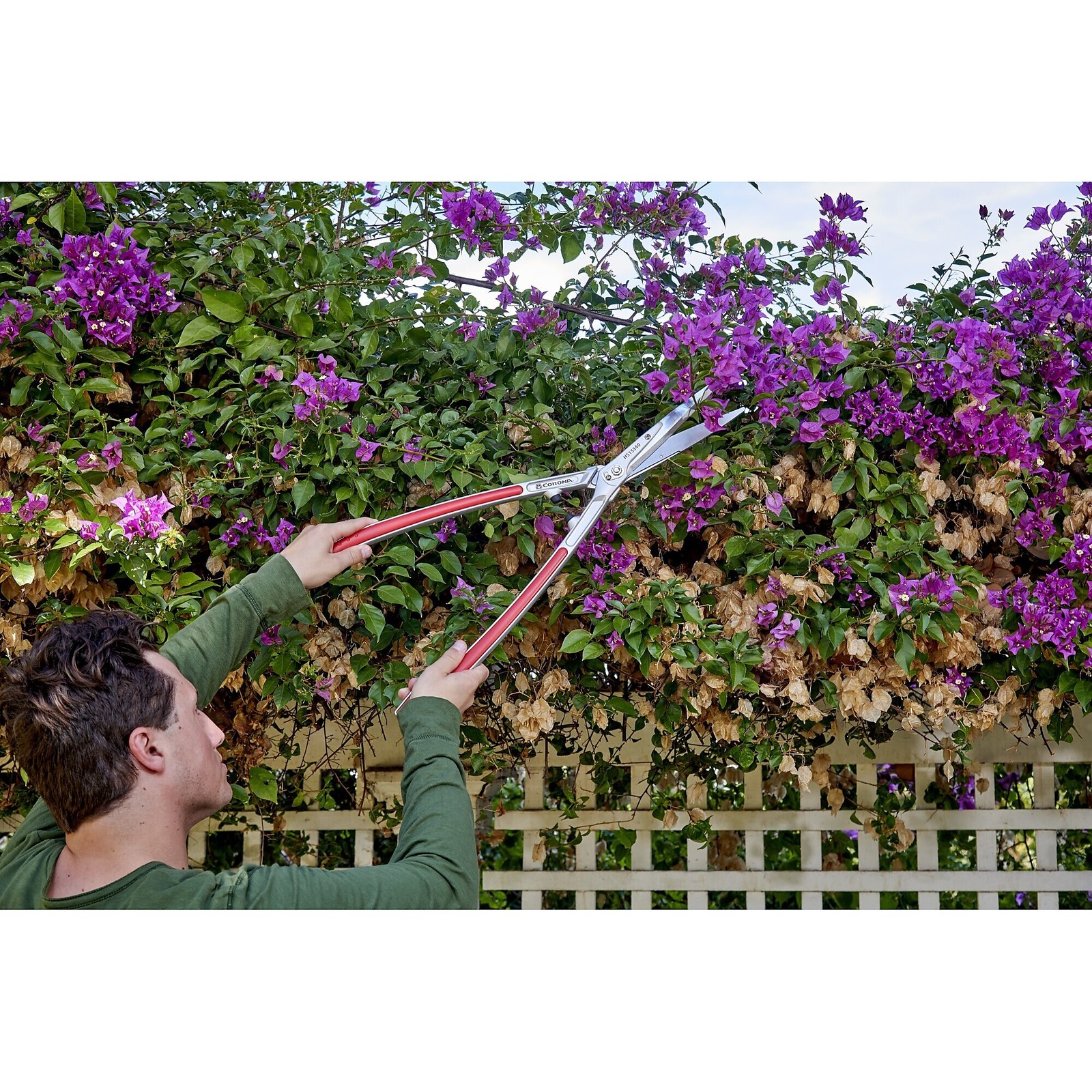 Corona PrecisionCUT Aluminum Hedge Shears 7-1/4 in. blades, 12-3/4 in. handles gallery
