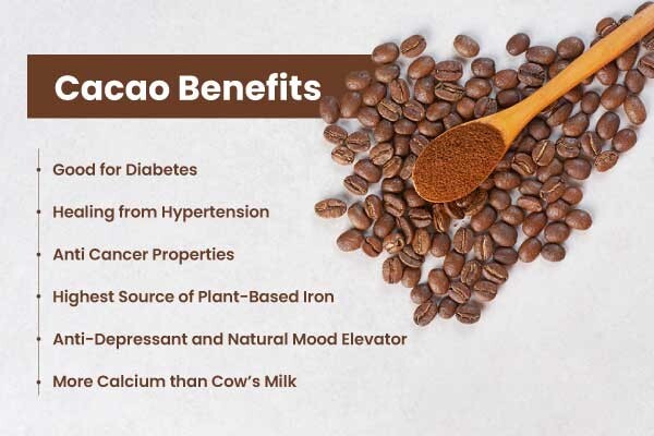 Raw Cocoa Powder 100% Original Chocolate Powder Bulk Arriba Nacional Bean 500g gallery