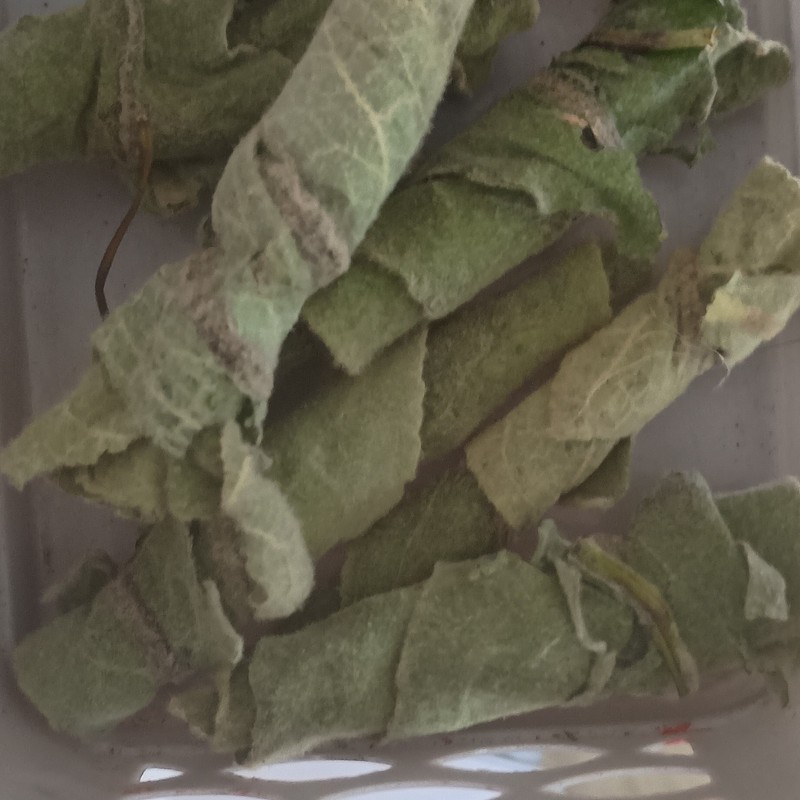 DRIED MULLEIN LEAF, loose Single Herb, MEDICAL HERB gallery