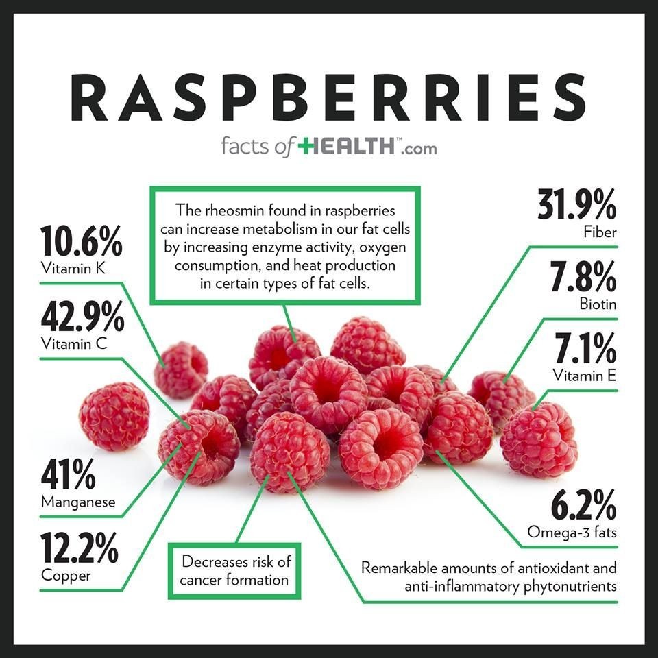 Raspberry bush seeds 25+- count~organic~locally harvested~healthy fruit gallery