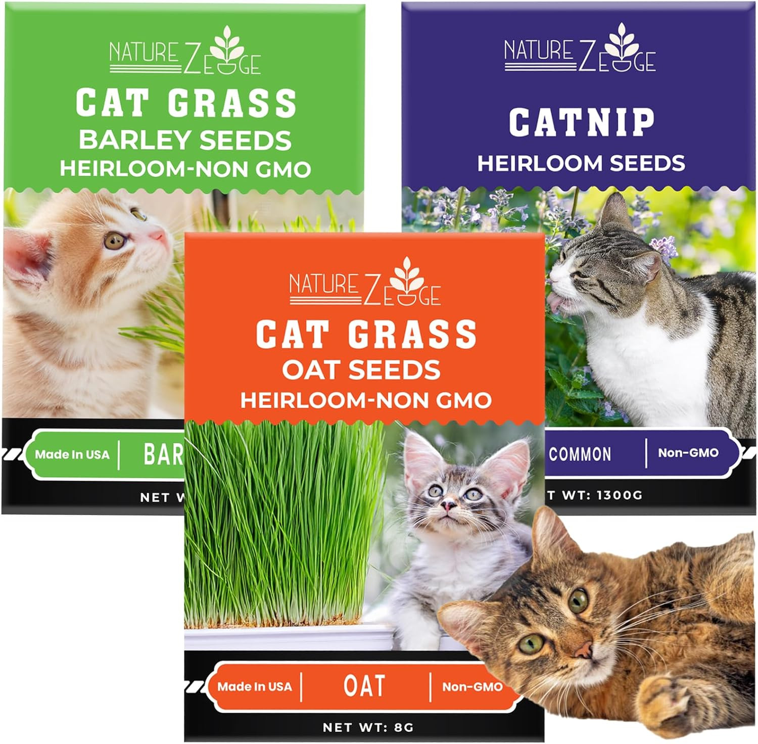 Cat Grass Seeds & Catnip Seeds - 3 Pack Variety Kit, Cat Grass for Indoor Cats gallery