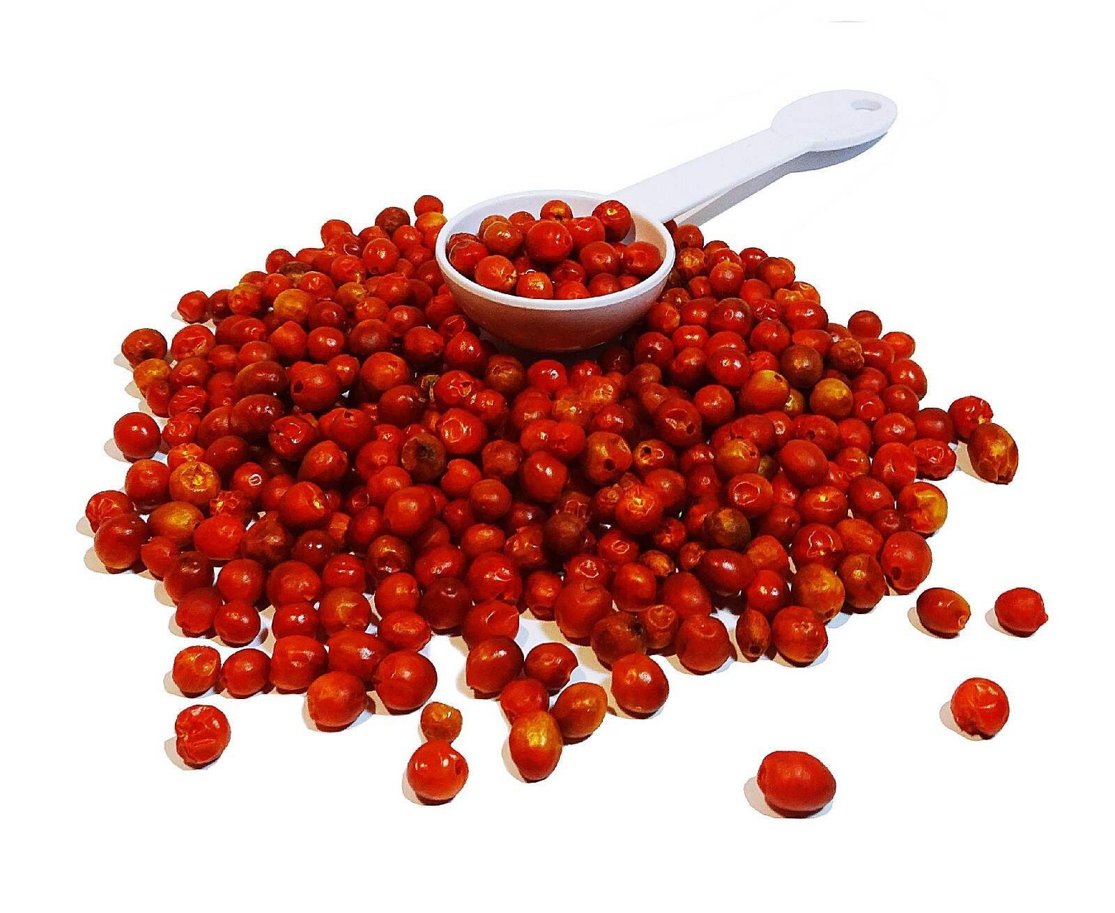 Chiltepin Pepper Seeds (Chilli Seeds) Weights: 0.5 oz, 1 oz, 2 oz, 4 oz & 6 oz! gallery