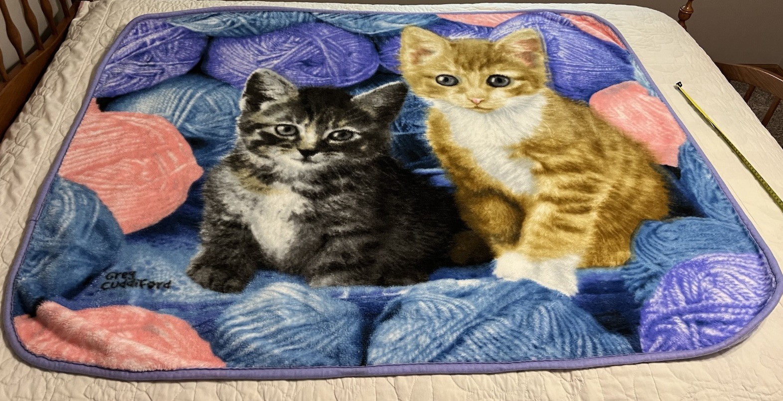 Two Kittens With Yarn The Northwest Throw Blanket Artist Greg Cuddiford 49 X 62 gallery