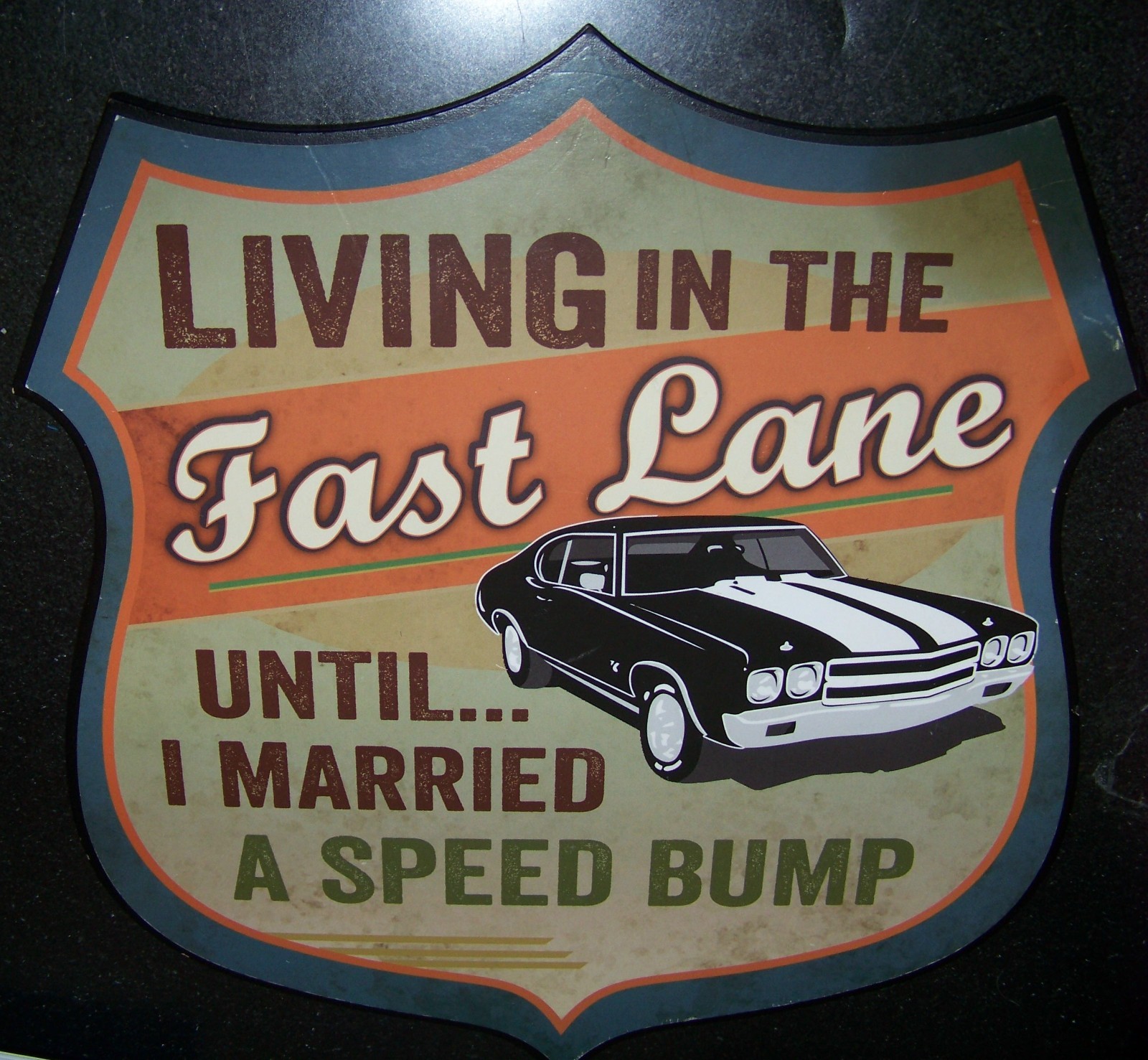 Living in Fast Lane Until Married Speed Bump particle board sign novelty c42922 gallery