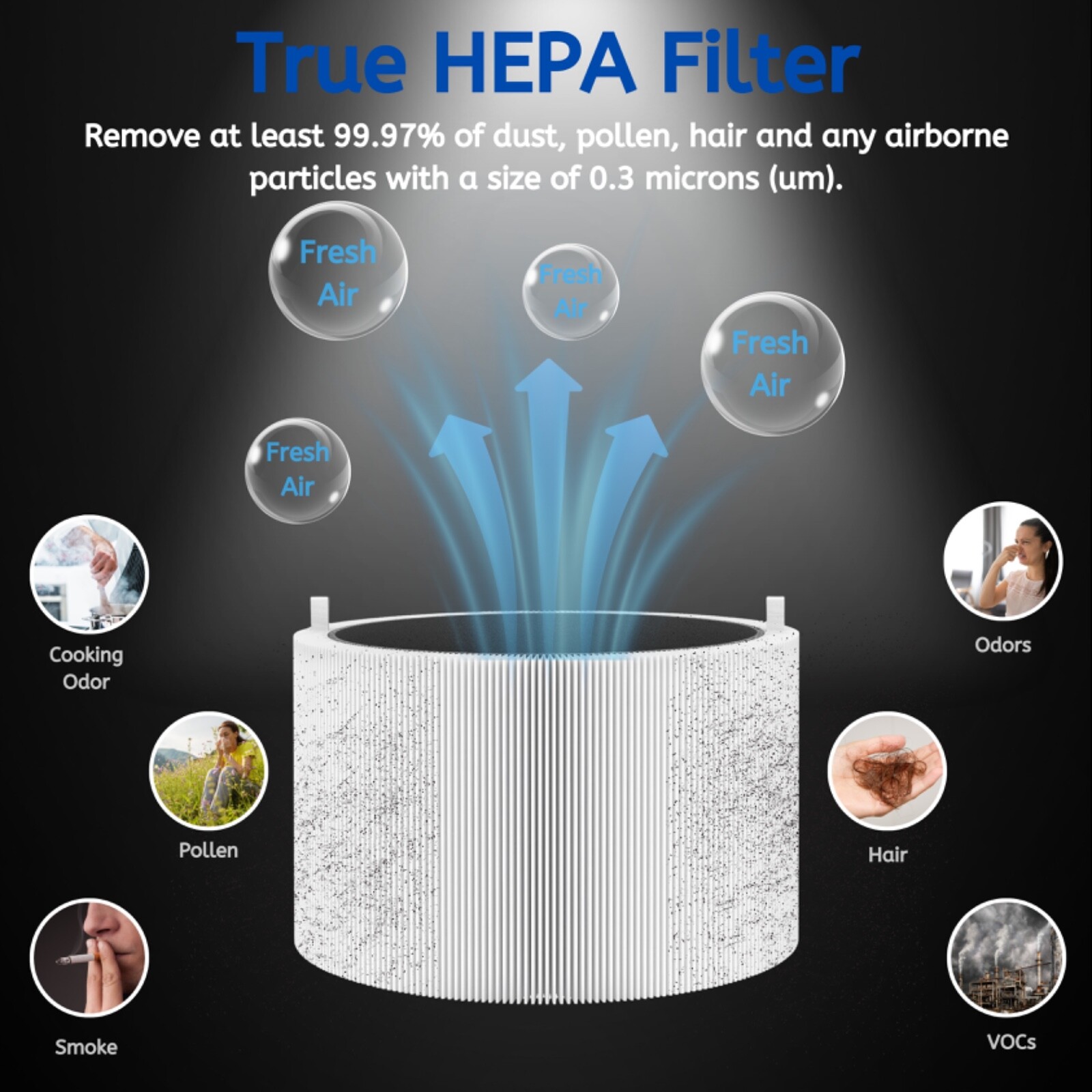 Activated Carbon Replacement Filter for Blueair Pure 211i Air Purifier, 1 Pk gallery