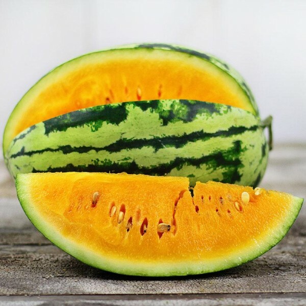 Orangeglo Watermelon Seeds | Heirloom / Non-GMO | Free Shipping | 1041 gallery