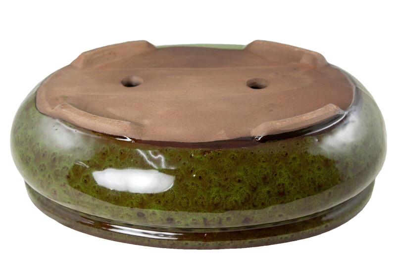 Oval Glazed Bonsai / Succulent Pot + Tray + Mesh 12"x 8.5"x 3.75" - Moss Green gallery