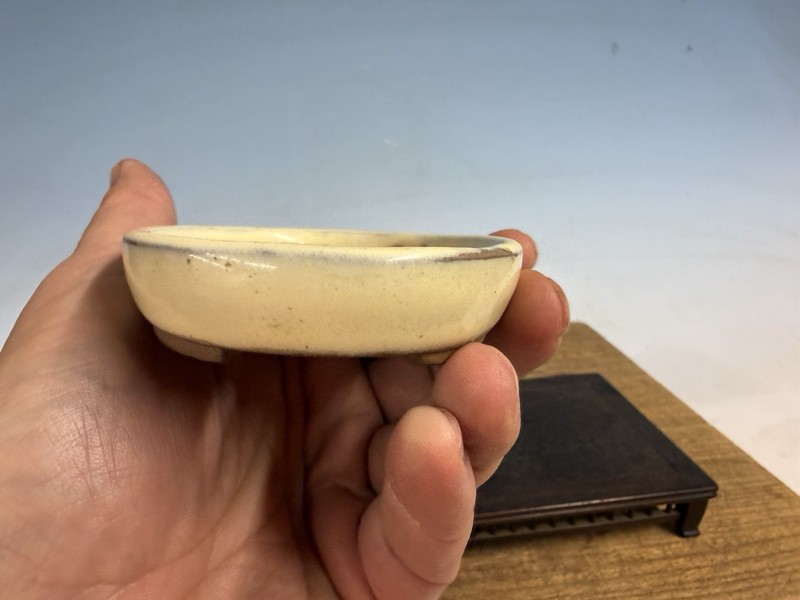 Japanese Unknown Maker Shohin Bonsai Tree Pot 4 1/2” Cream Glazed gallery