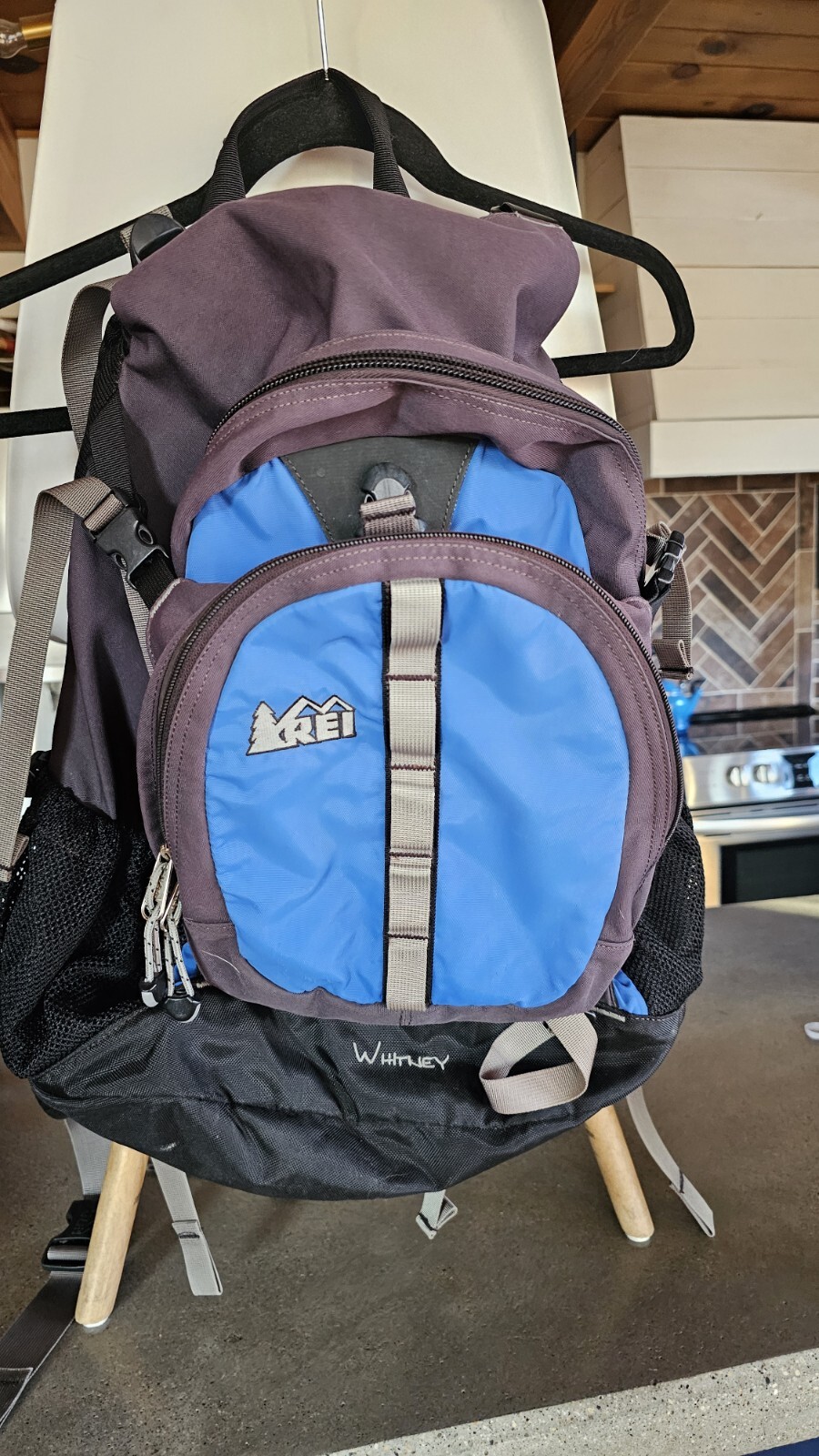 REI Alpine Medium Backpack Blue - Hiking/Camping Multi Pockets Whitney