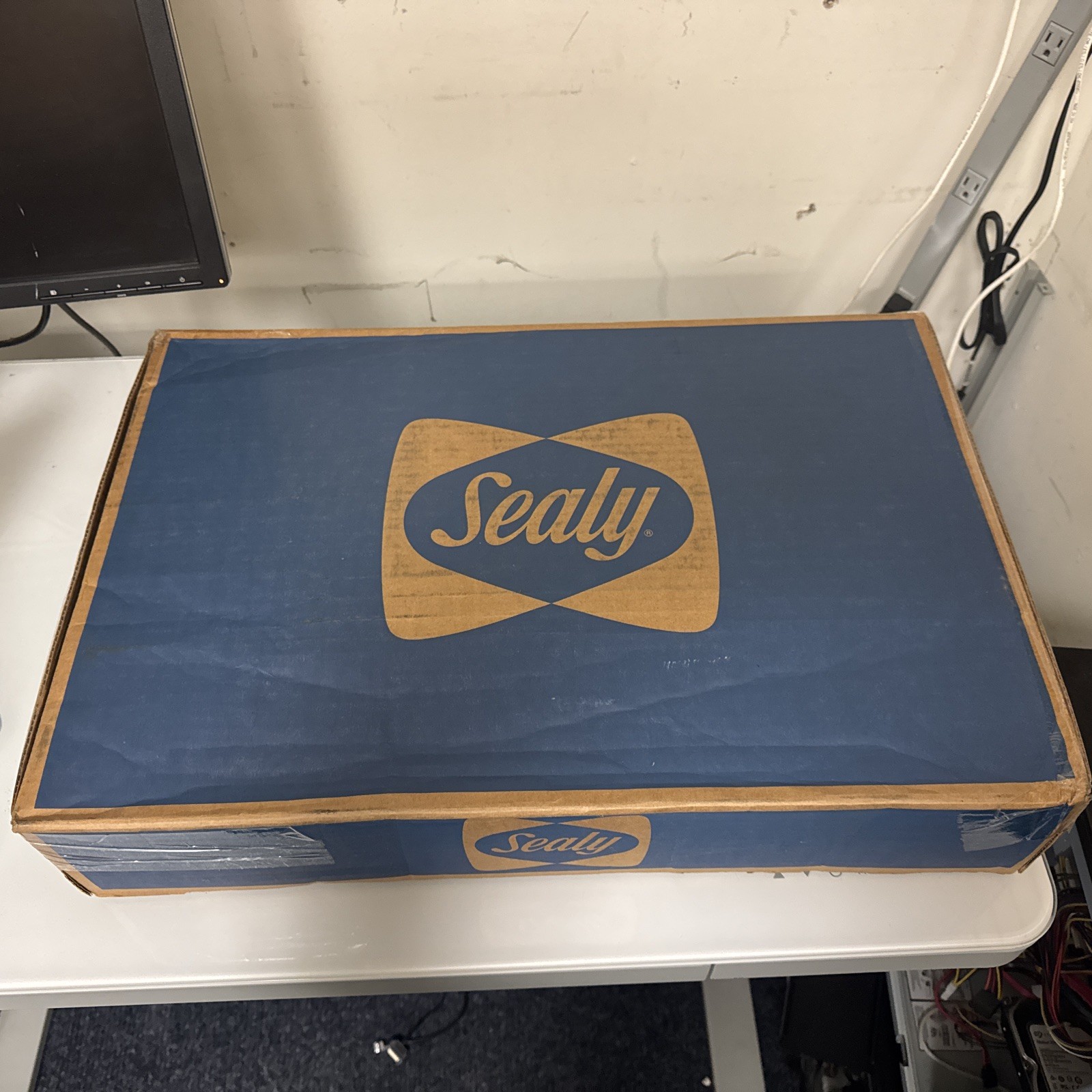 Sealy 24x16x5.75 memory foam clean pillow w/cover gallery