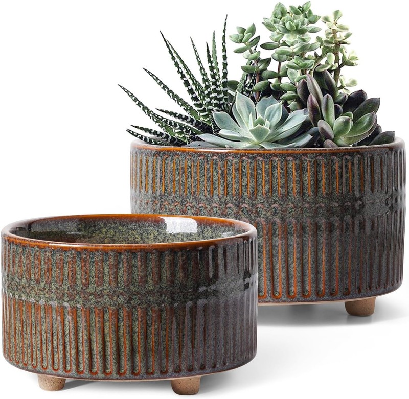 Modern Round Succulent Planters with Drainage Hole, Set of 2, 6.5 & 8 Inch gallery