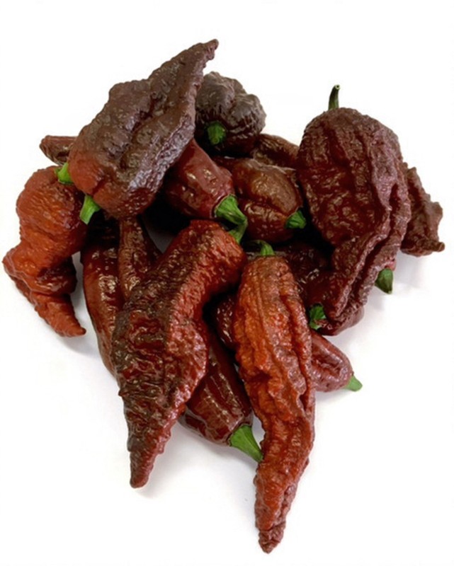 20 BHUT JOLOKIA CHOCOLATE 100% GUARANTEED SEEDS CHILLI PEPPERS GHOST gallery