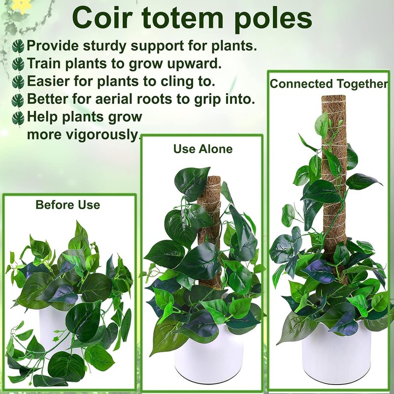 Versatile Climbing Plant Support - 36-Inch Moss Pole Set with Jute Ties Included gallery