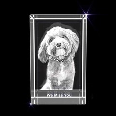 Personalized 3D Crystal Photo – Optional Multicolor Light Base| Gift Box| Custom