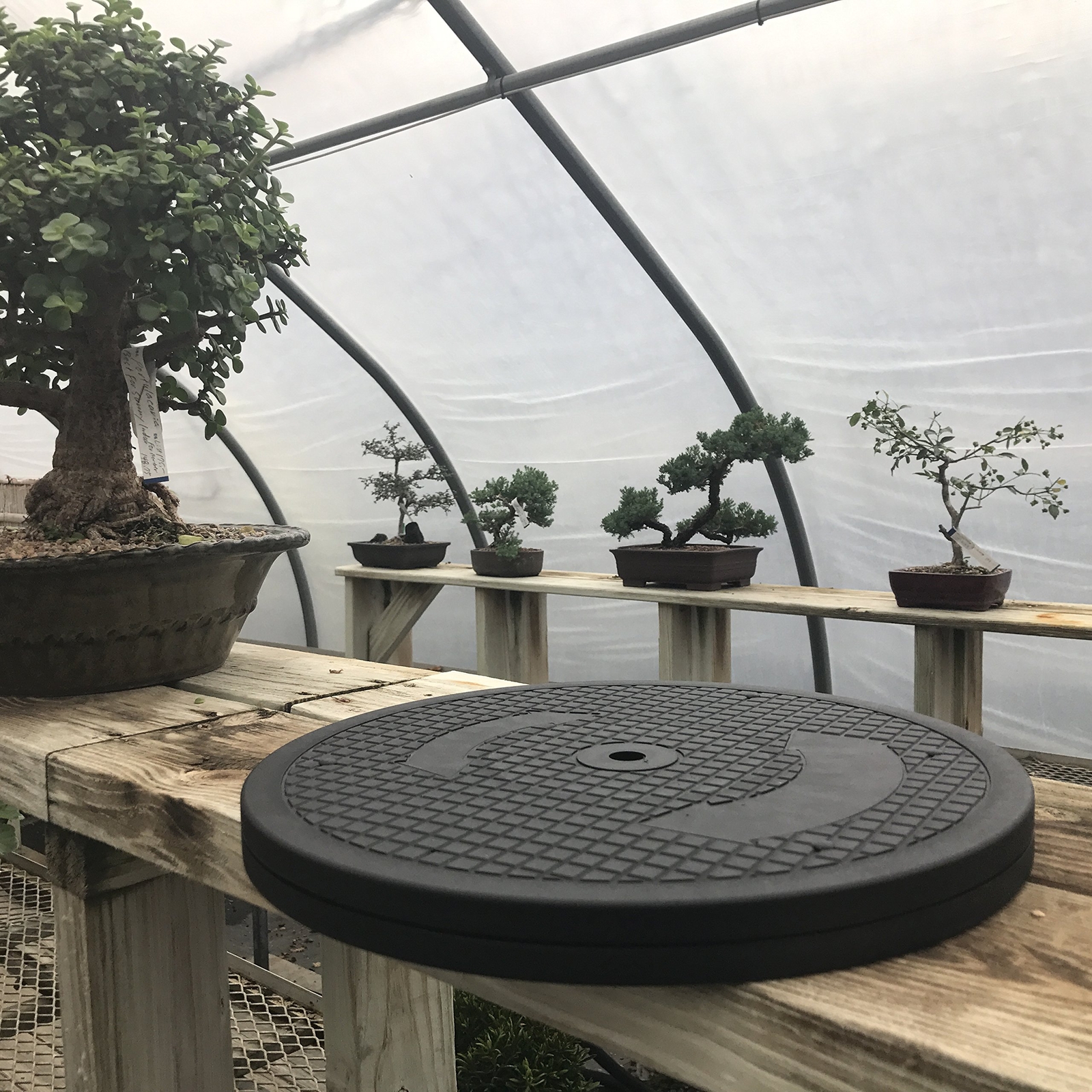 Mighty Mini Bonsai Tree Turntable Stainless Steel 200-Pound Capacity gallery