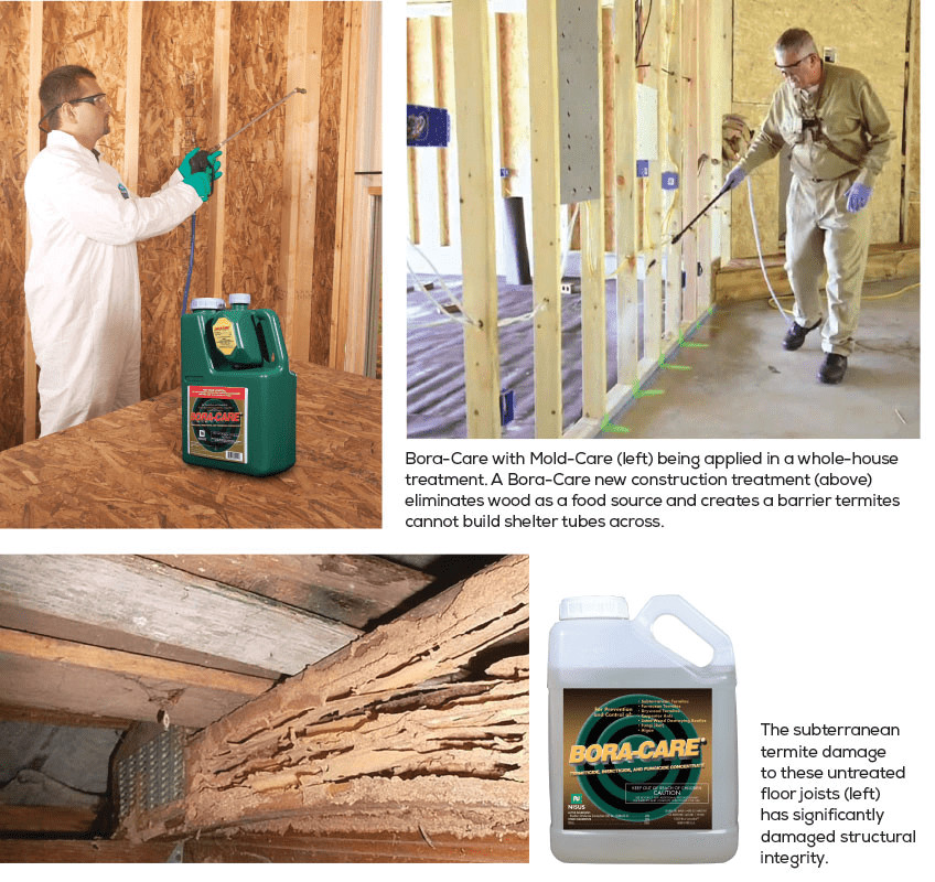 Bora-Care Termite Control BoraCare Termiticide & Borate Fungicide - 1 Gallon gallery