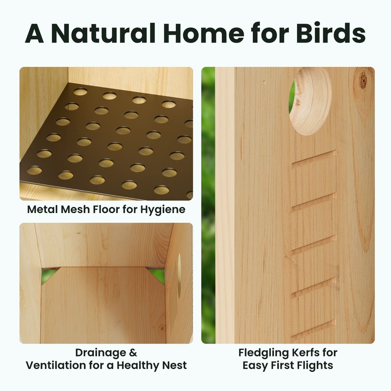 Birdfy Smart Birdhouse with Solar Panel gallery