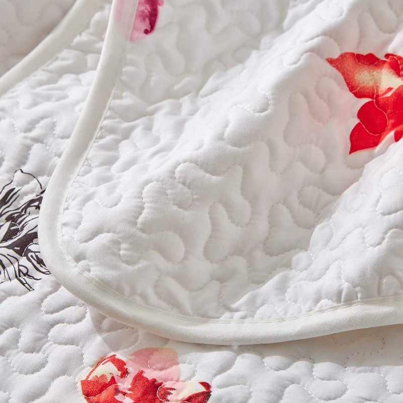 UOZZI BEDDING 3 Piece Queen Reversible Floral Quilt Set White Red Green Color... gallery