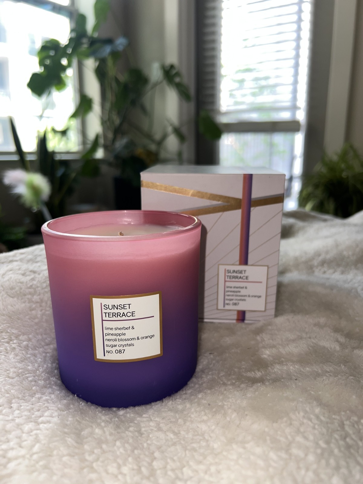 Palm Beach Tan Candle: Sunset Terrace gallery