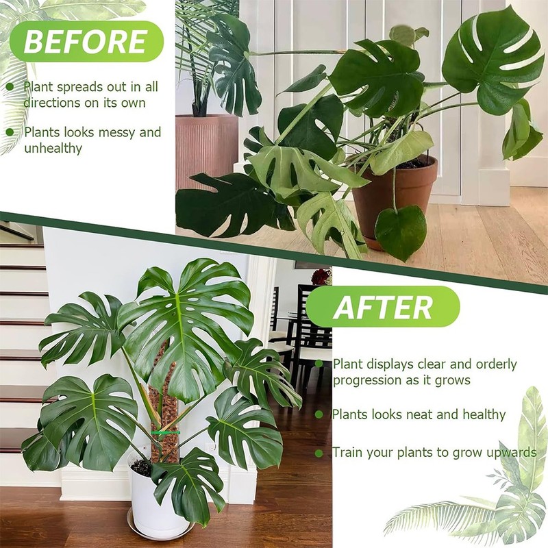 4 Packs Moss Poles Climbing Plants Stackable & Refillable Plastic Support Stakes gallery