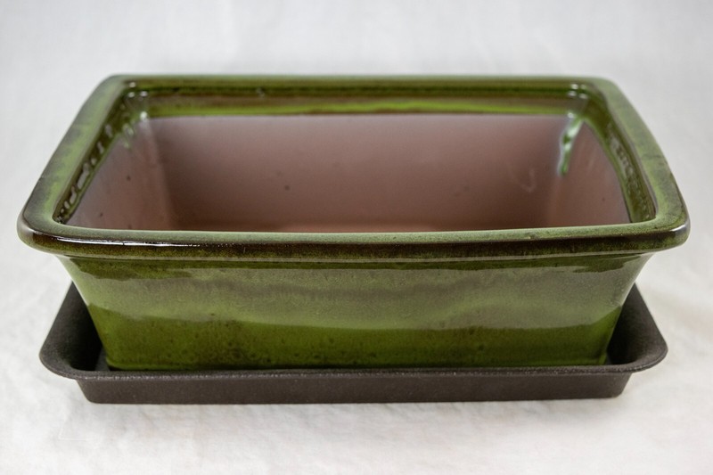 12" Rectangular Moss Green Glazed Cactus & Succulent, Bonsai Planter - Pot/Set gallery