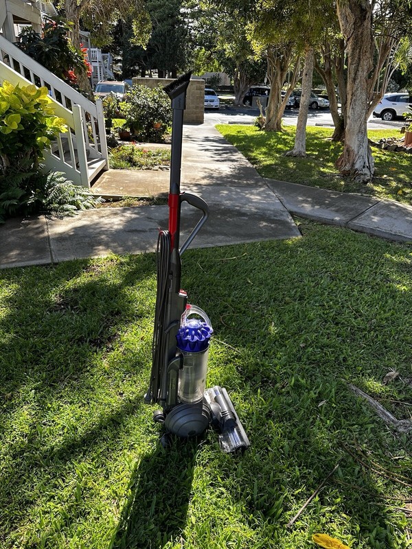 Dyson Ball Animal 2 Origin Vacuum - Powerful, Reliable, Pet Hair Masterpiece gallery