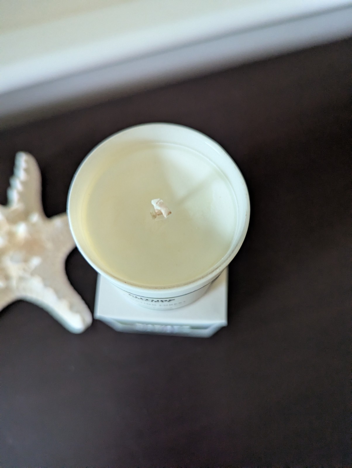Future Society FLOATING FOREST Scented Candle 2 oz 56 g NIB gallery
