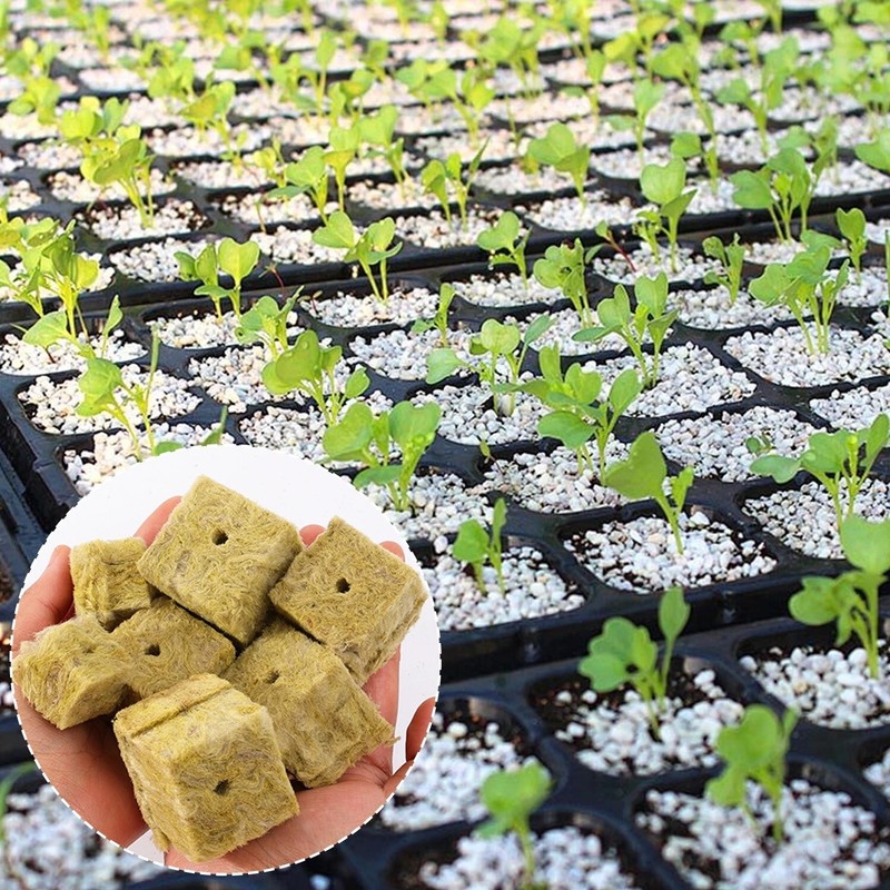 Seedling Grow Plug Sponge Block Starter Rock Wool Planting Grow Cubes Hydroponic gallery