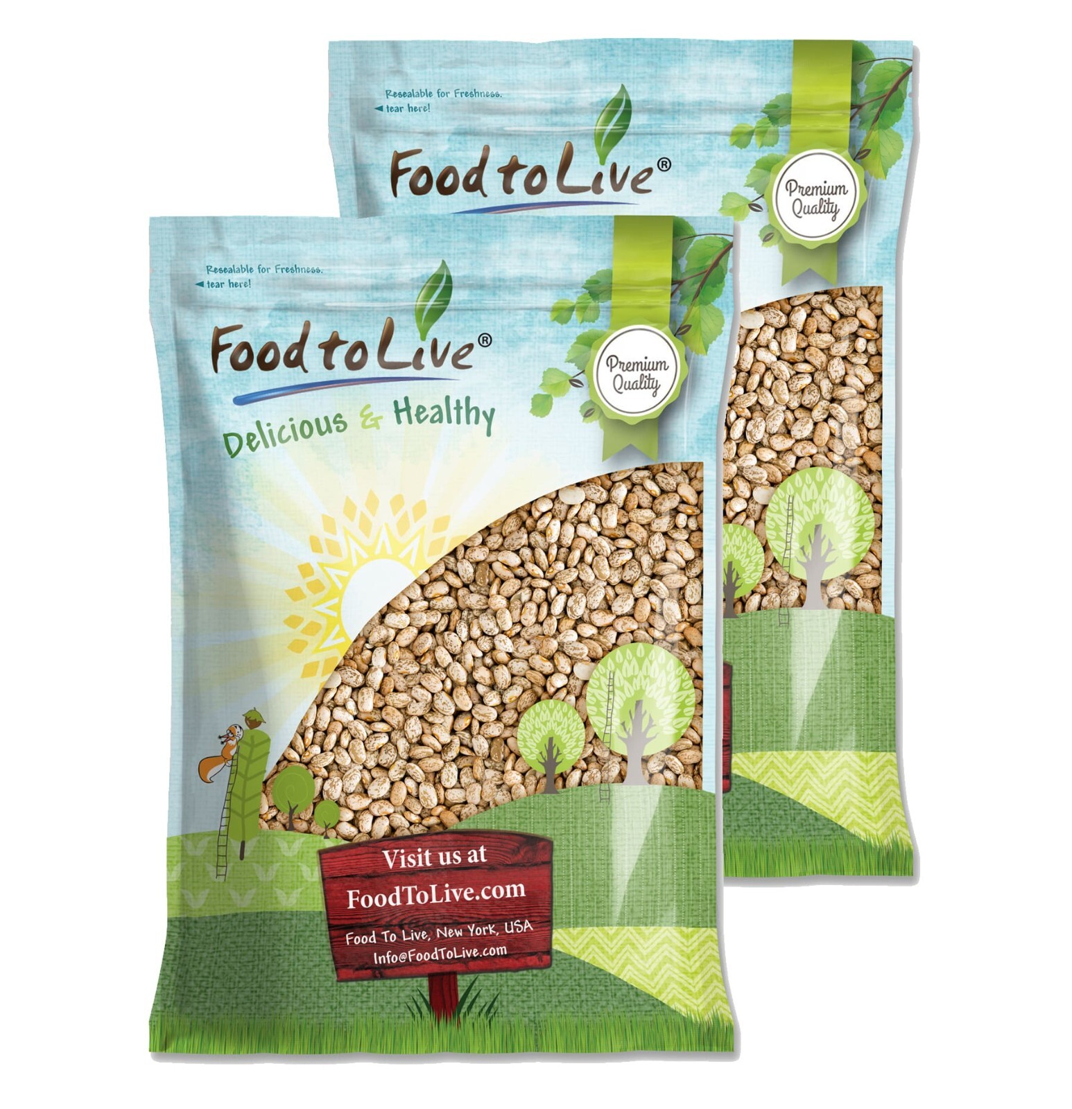 Pinto Beans – Dried, Sproutable, Vegan, Kosher, Bulk Frijol Seeds gallery