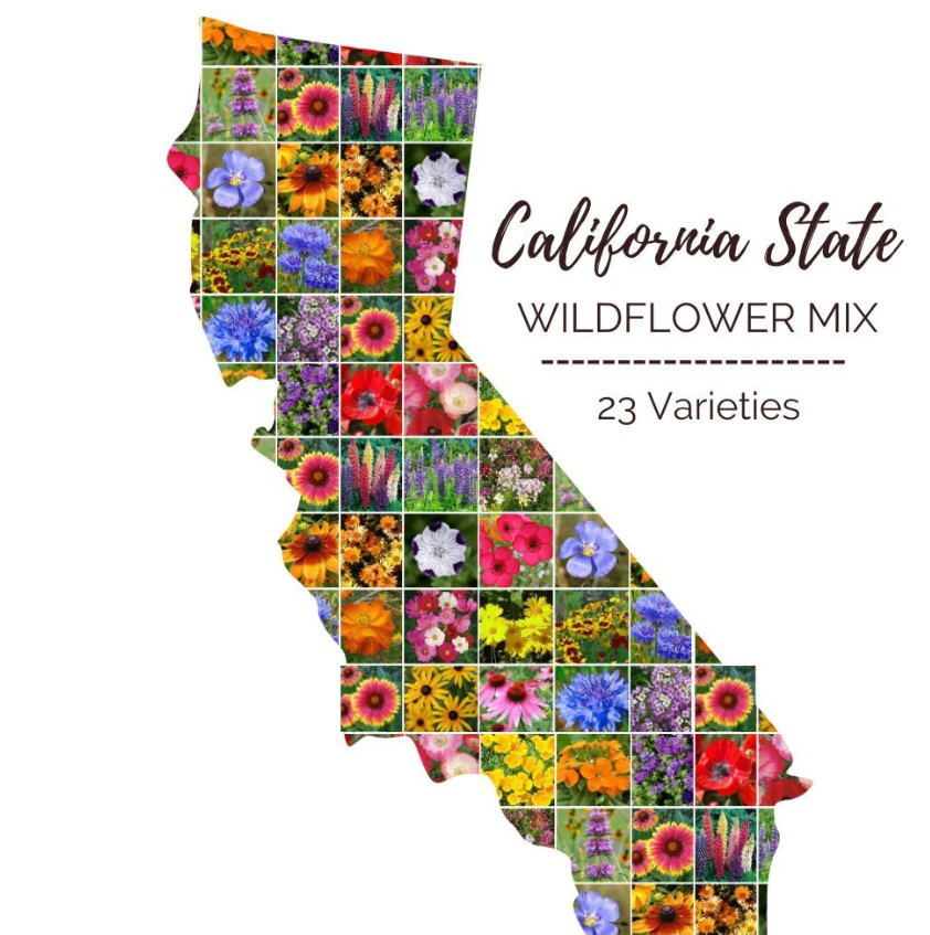 CALIFORNIA Wildflower Mix Perennials & Annuals USA Non-GMO 23 Species 1000 Seeds gallery