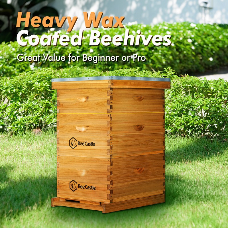 BeeCastle 10 Frame Beehive ( 2 Deep Brood Bee Boxes & 1 Medium Super Bee Box) gallery